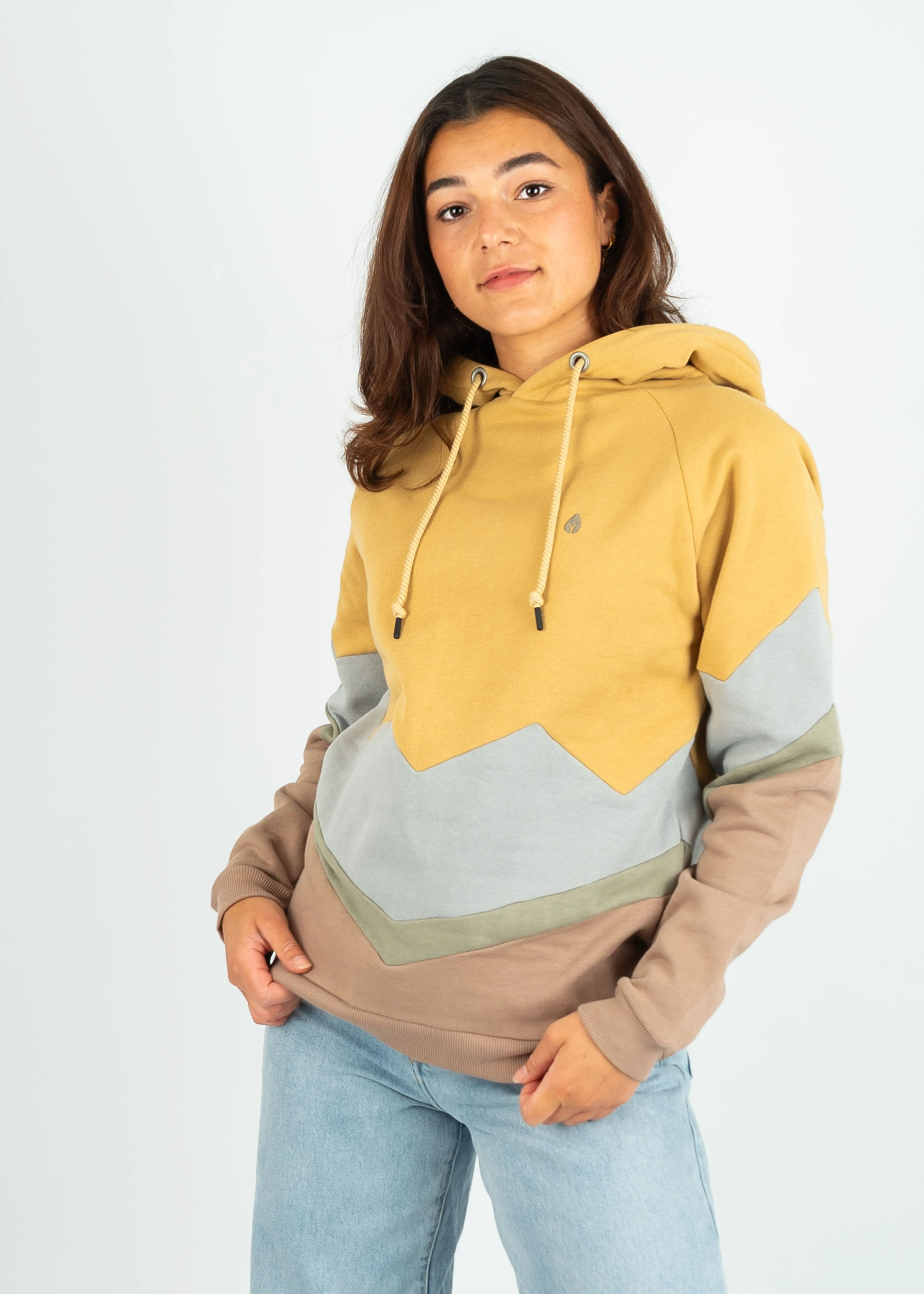 Hoodie BEEVERN Curry/UltimateGrey