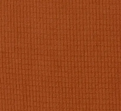 Neck Gaiter