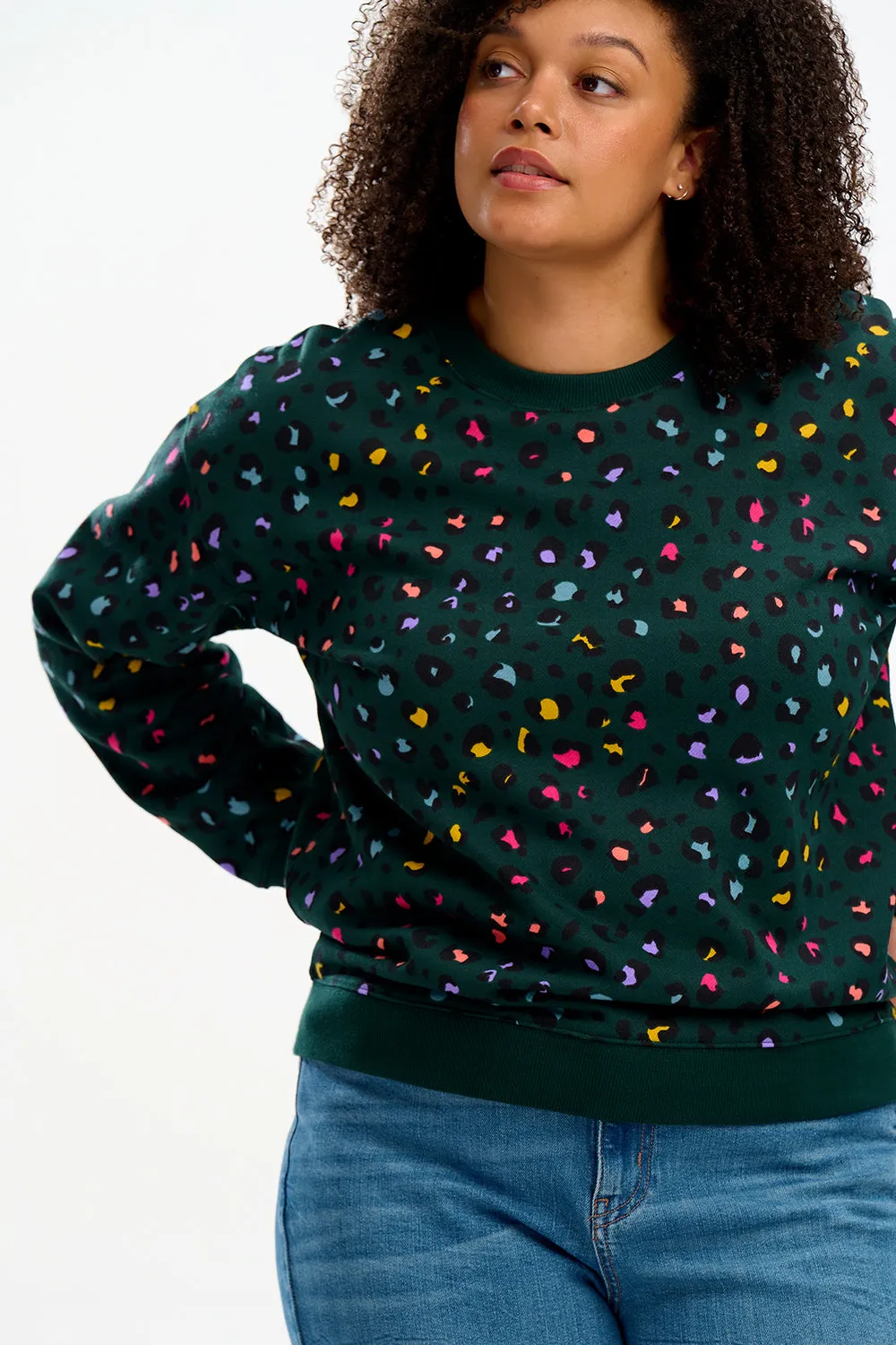 Noah Sweatshirt - Rainbow Leopard Green